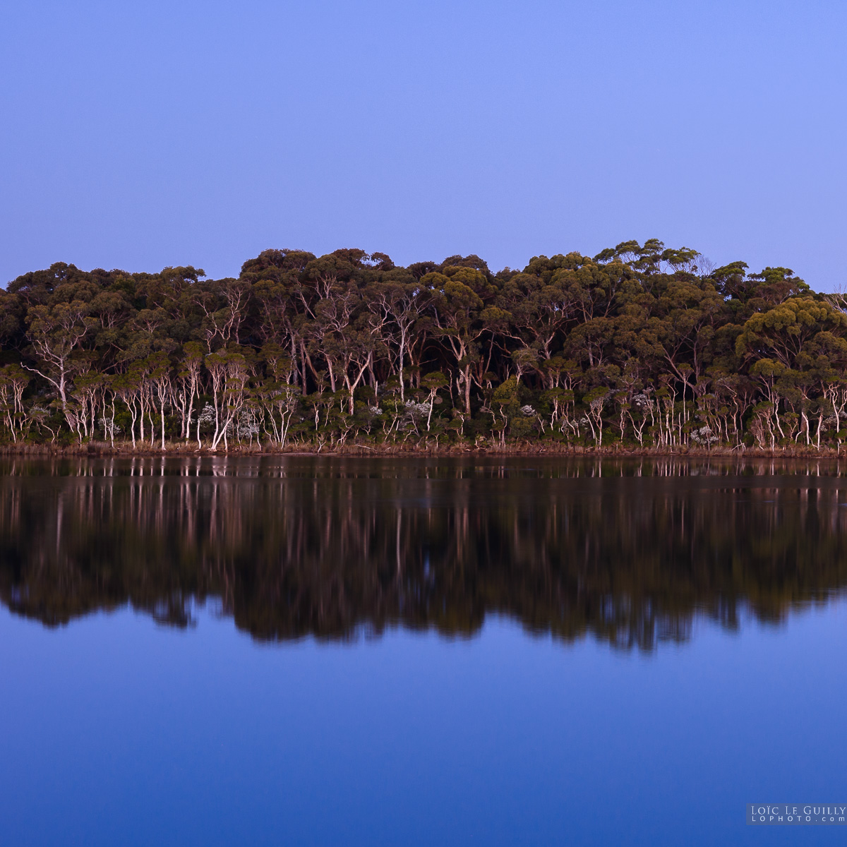 photograph of Black River at dusk